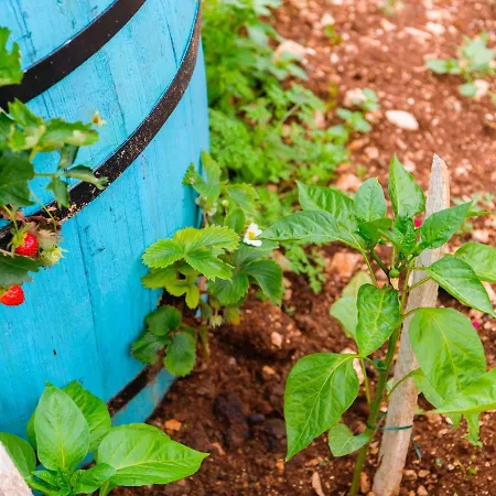 Vision With Heated Pool & Jacuzzi In Sestanovac 别墅 *