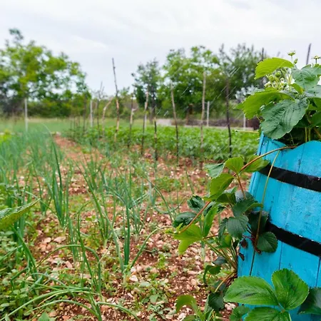 Vision With Heated Pool & Jacuzzi In Sestanovac 别墅 *